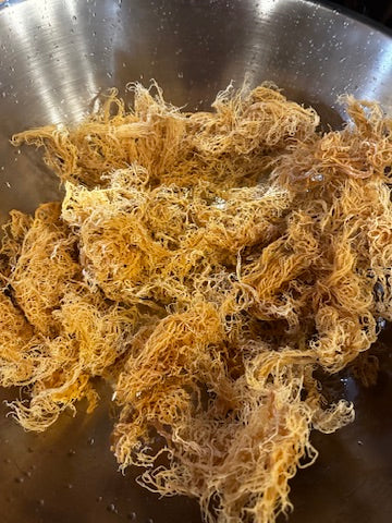 Sea Moss